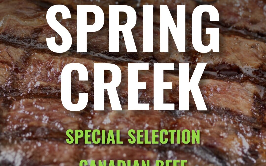 Spring Creek Provides Premium Canadian Beef